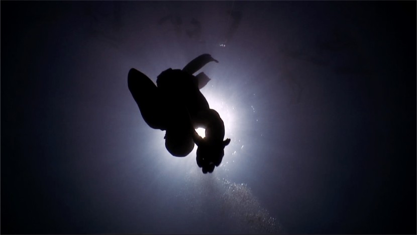 Valerio Perini Underwater Apnea Freediving